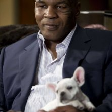 Mike Tyson interpreta sé stesso nel film Una notte da leoni