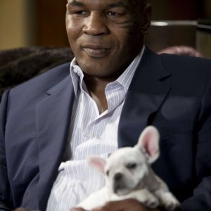 Mike Tyson interpreta sé stesso nel film Una notte da leoni