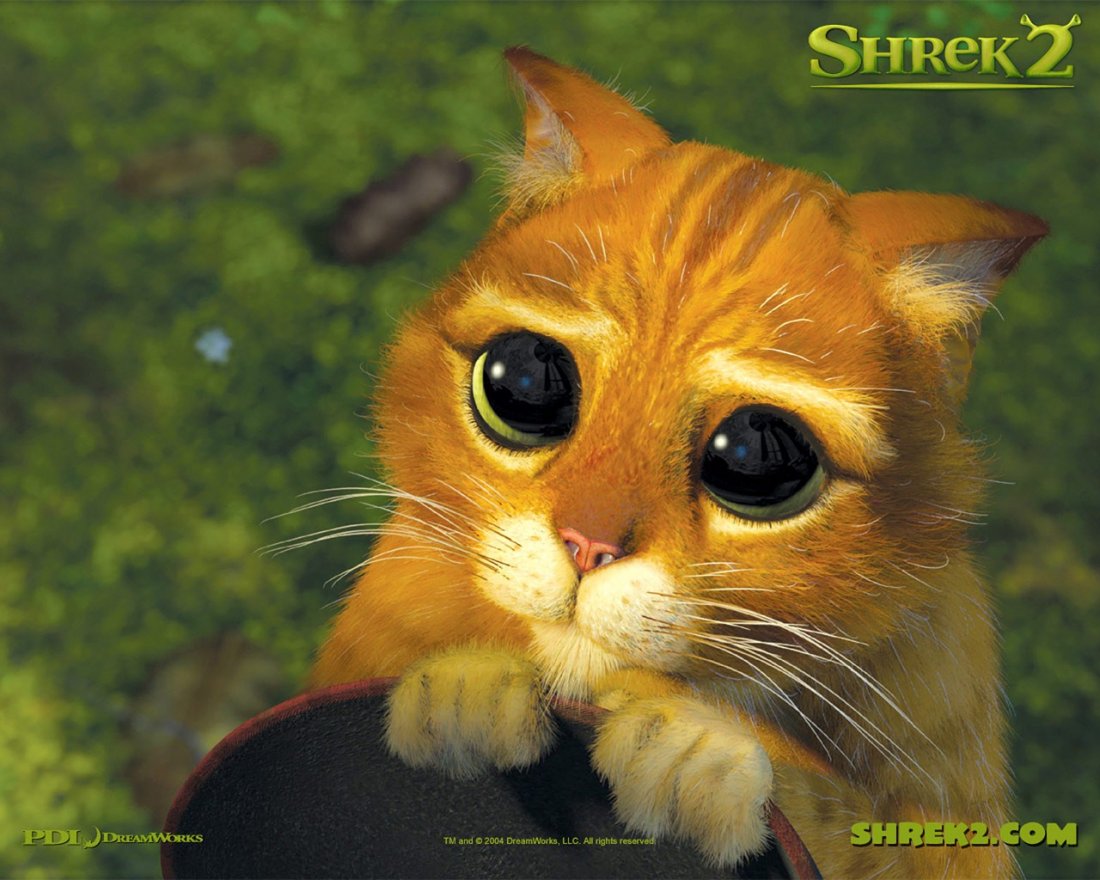 Un Wallpaper Del Gatto Con Gli Stivali Per Il Film D Animazione Shrek 2 118671