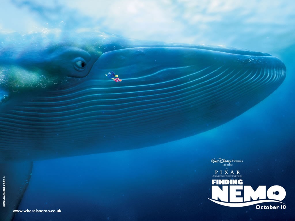 Un Wallpaper Della Balena Con Marlin E Dory Nel Film Alla Ricerca Di Nemo 119517