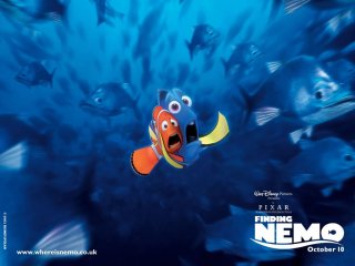 Un wallpaper di Marlin e Dory nel film 'Alla ricerca di Nemo'