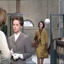 Tippi Hedren E Diane Baker In Una Scena Del Film Marnie 119748