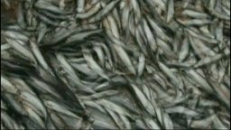 The End of the Line - Trailer