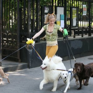 Evan Rachel Wood in una scena del film Whatever Works