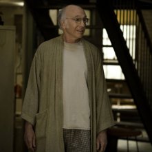 Larry David in è Boris nel film Whatever Works, diretto da Woody Allen