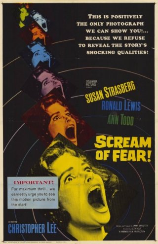Locandina americana del 1961 del film La casa del terrore