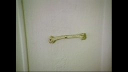 Herb and Dorothy - Trailer