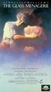 La locandina di Lo zoo di vetro