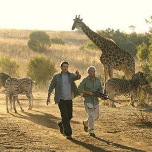 D.W. Moffett in un momento del pilot de L'Africa nel cuore