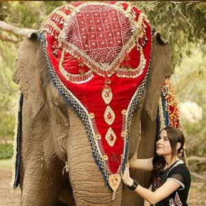 Emily Robins in un momento della serie The Elephant Princess