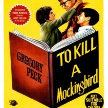 La locandina di Il buio oltre la siepe