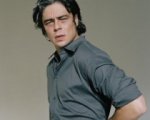 Sofia Coppola vuole Benicio Del Toro