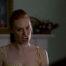 Deborah Ann Woll In Un Immagine Dell Episodio Keep This Party Going Della Seconda Stagione Della Serie True Blood 122004