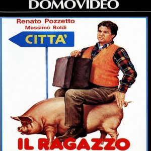 La locandina di Il ragazzo di campagna