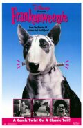 La locandina di Frankenweenie