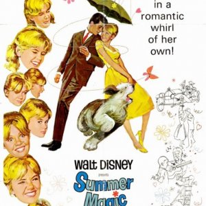 Locandina americana del 1963 del film Magia d'estate