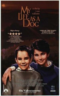 Locandina di La mia vita a quattro zampe