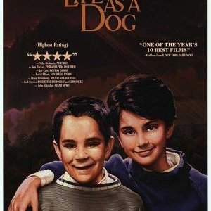 La locandina di La mia vita a quattro zampe