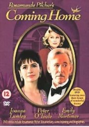 La locandina di Ritorno a casa - Coming Home