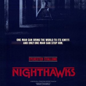 La locandina di I falchi della notte