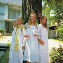 Le sorelle Lisbon: Kirsten Dunst, Leslie Hayman, Chelse Swain e A.J. Cook proteggono l'albero in una scena del film 'Il giardino delle vergini suicide'