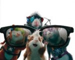 I RIS della tv prestano le loro voci alle superspie di G-Force