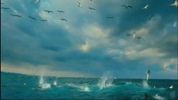 Wild Ocean 3D - Trailer
