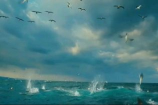 Wild Ocean 3D - Trailer
