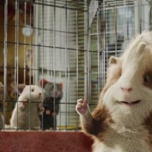 Una divertente immagine di G-Force: Superspie in missione