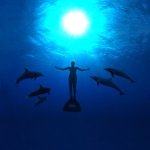 Una suggestiva immagine del documentario The Cove