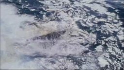 Earth Days - Trailer