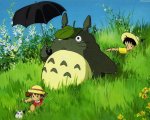 Studio Ghibli: un cadavere è stato rinvenuto nella foresta di Totoro