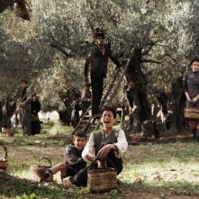 Un'immagine del film Baaria di Giuseppe Tornatore