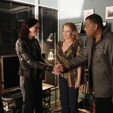 Jorja Fox Laurence Fishburne Marg Helgenberger E George Eads In Una Scena Dell Episodio Family Affair Di Csi 127385