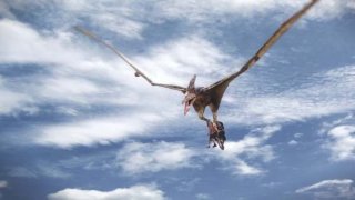 Un'immagine del film Il mistero della pietra magica