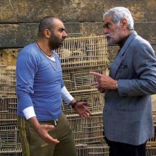 Un'immagine del film The Traveller