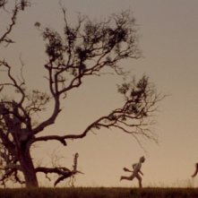 Una scena del film Nel paese delle creature selvagge