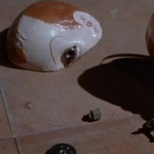 Alcuni resti del celebre pupazzo del film Profondo Rosso ( 1975 )