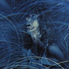 Stefania Casini nella celebre sequenza del filo spinato del film Suspiria ( 1977 )