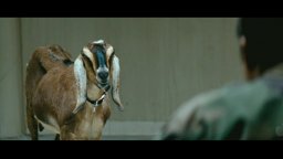 The Men Who Stare at Goats - Trailer