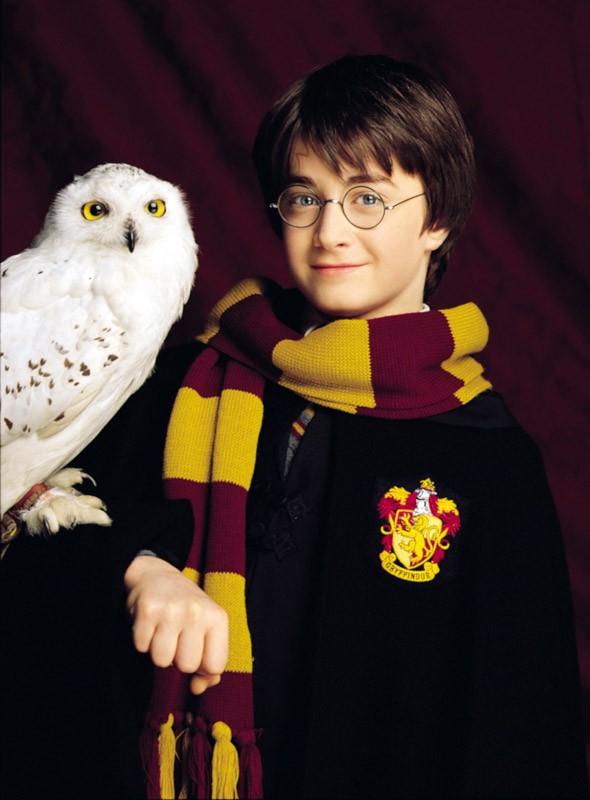 Harry Potter Daniel Radcliffe Con La Sua Civetta Edvige Per Il Film Harry Potter E La Pietra Filosofale 129115