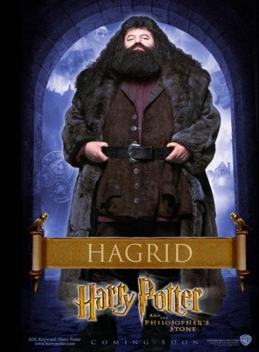 Un character poster dedicato a Rubeus Hagrid per il film Harry Potter e la Pietra Filosofale