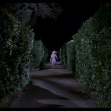 Una scena del film Quattro mosche di velluto grigio (1971)