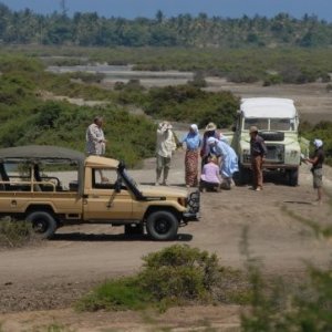 Una scena della fiction Un coccodrillo per amico