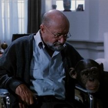 Donald Pleasence in una scena del film Phenomena (1985)