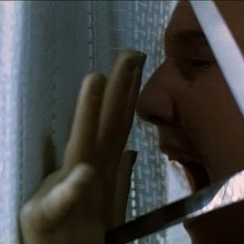 Fiore Argento in una terrificante scena del film Phenomena (1985)