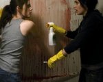 Sunshine Cleaning, ecco il trailer in esclusiva!