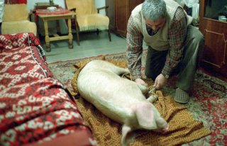 Un'immagine del film a episodi Racconti dell'età dell'oro