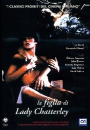 La locandina di Un viaggio meraviglioso