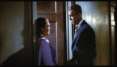 James Stewart e Kim Novak in una scena del film La donna che visse due volte ( 1958 )